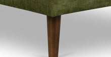 Load image into Gallery viewer, Distressed Green Velvet
