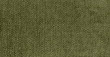 Load image into Gallery viewer, Distressed Green Velvet
