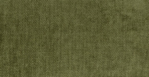 Distressed Green Velvet
