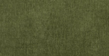 Load image into Gallery viewer, Distressed Green Velvet
