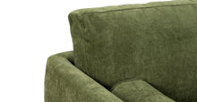 Load image into Gallery viewer, Distressed Green Velvet
