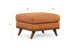 Cognac Tan, dimensions