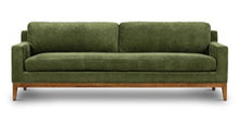 Load image into Gallery viewer, Collection, Distressed Green Velvet
