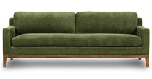 Load image into Gallery viewer, Distressed Green Velvet
