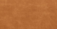Load image into Gallery viewer, Cognac Tan/Set of 2
