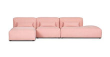 Load image into Gallery viewer, Collection, Carnation Pink
