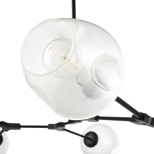 Black/Ovate