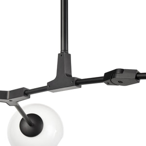Black/Ovate
