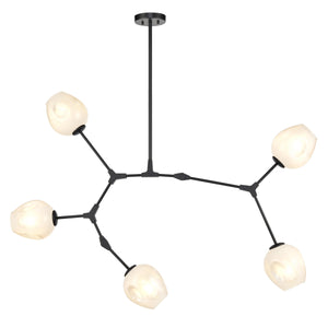 Black/Ovate