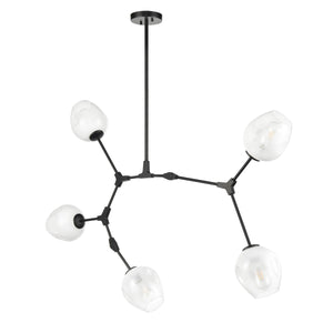 Black/Ovate