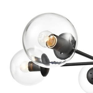 Black/Clear