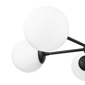 Black/White