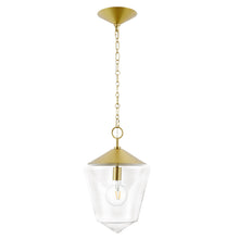 Load image into Gallery viewer, Brushed Brass/Clear

