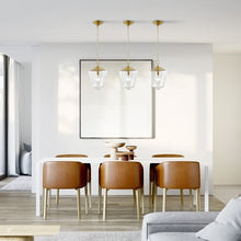 Load image into Gallery viewer, Brushed Brass/Clear
