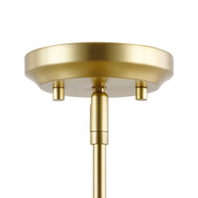 Load image into Gallery viewer, Brushed Brass/Amber
