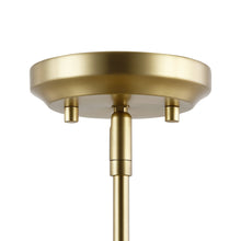 Load image into Gallery viewer, Brushed Brass/Clear
