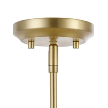 Load image into Gallery viewer, Brushed Brass/Clear
