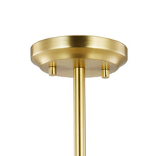 Load image into Gallery viewer, Brushed Brass/Clear
