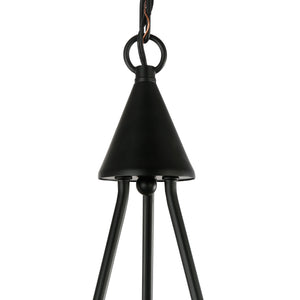 Black/Brass