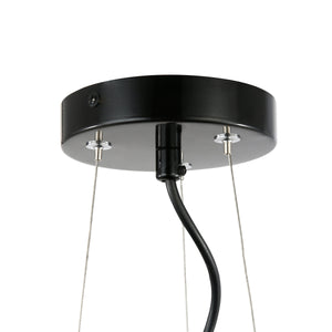 Black/Clear