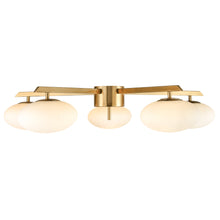 Load image into Gallery viewer, Brushed Brass/White
