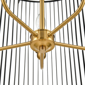 Black/Brass