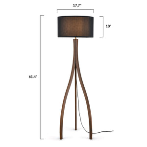Walnut, dimensions