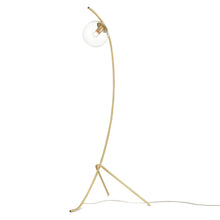 Load image into Gallery viewer, Brushed Brass/Clear
