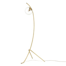 Load image into Gallery viewer, Brushed Brass/Clear
