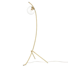 Load image into Gallery viewer, Brushed Brass/Clear
