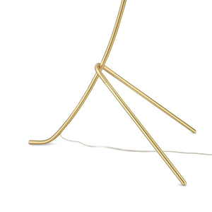 Brushed Brass/Clear