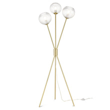 Load image into Gallery viewer, Brushed Brass/Clear
