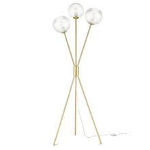 Load image into Gallery viewer, Brushed Brass/Clear
