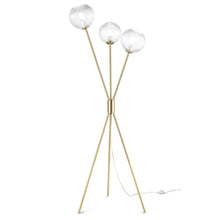 Load image into Gallery viewer, Brushed Brass/Clear
