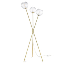Load image into Gallery viewer, Brushed Brass/Clear
