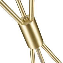 Load image into Gallery viewer, Brushed Brass/Clear
