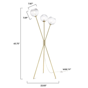 Brushed Brass/Clear, dimensions