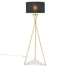 Load image into Gallery viewer, Brass/Black
