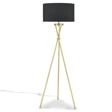 Load image into Gallery viewer, Brass/Black
