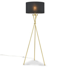 Load image into Gallery viewer, Brass/Black
