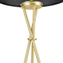 Load image into Gallery viewer, Brass/Black
