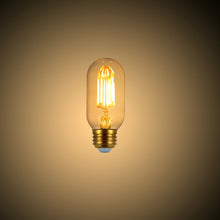 Load image into Gallery viewer, Amber
