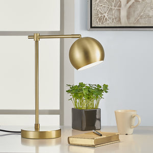 Brushed Brass