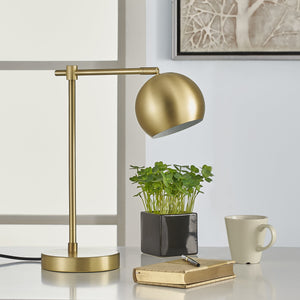Brushed Brass
