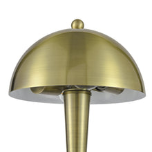 Load image into Gallery viewer, Antique Bronze
