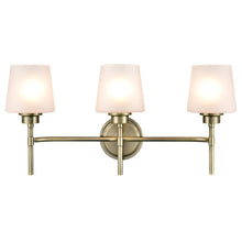 Load image into Gallery viewer, Antique Brass/Frosted
