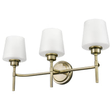 Load image into Gallery viewer, Antique Brass/Frosted
