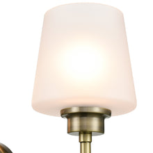 Load image into Gallery viewer, Antique Brass/Frosted
