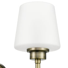 Load image into Gallery viewer, Antique Brass/Frosted
