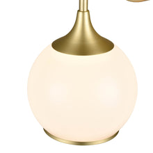 Load image into Gallery viewer, Brushed Brass/White
